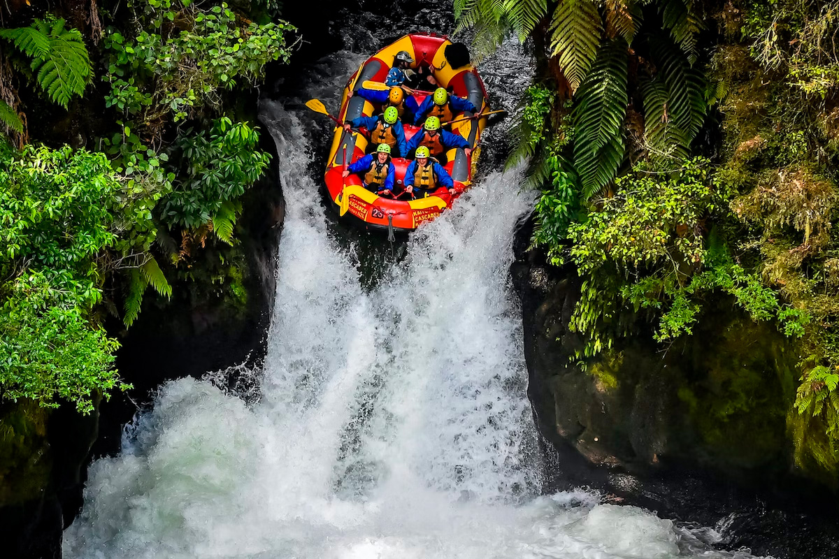 STAY BACK AND CHOOSE YOUR VIBE – SAFARI ADVENTURE OR ADERNALINE RUSH